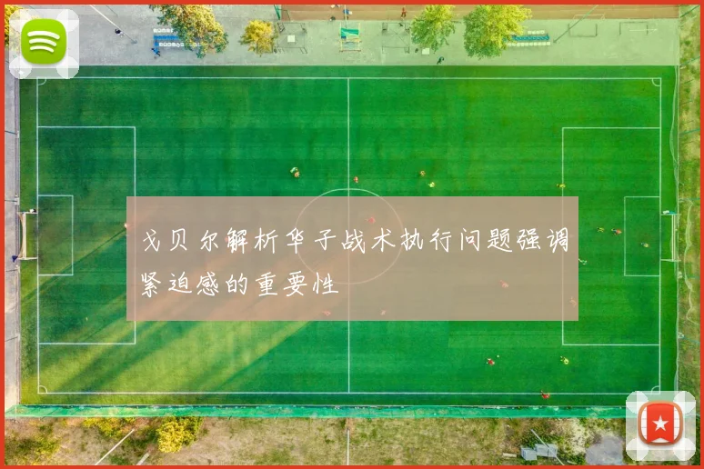 戈贝尔解析华子战术执行问题强调紧迫感的重要性