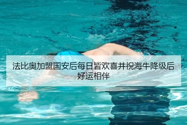 法比奥加盟国安后每日皆欢喜并祝海牛降级后好运相伴